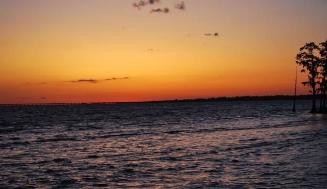 Silhouetted trees at sunset over water.